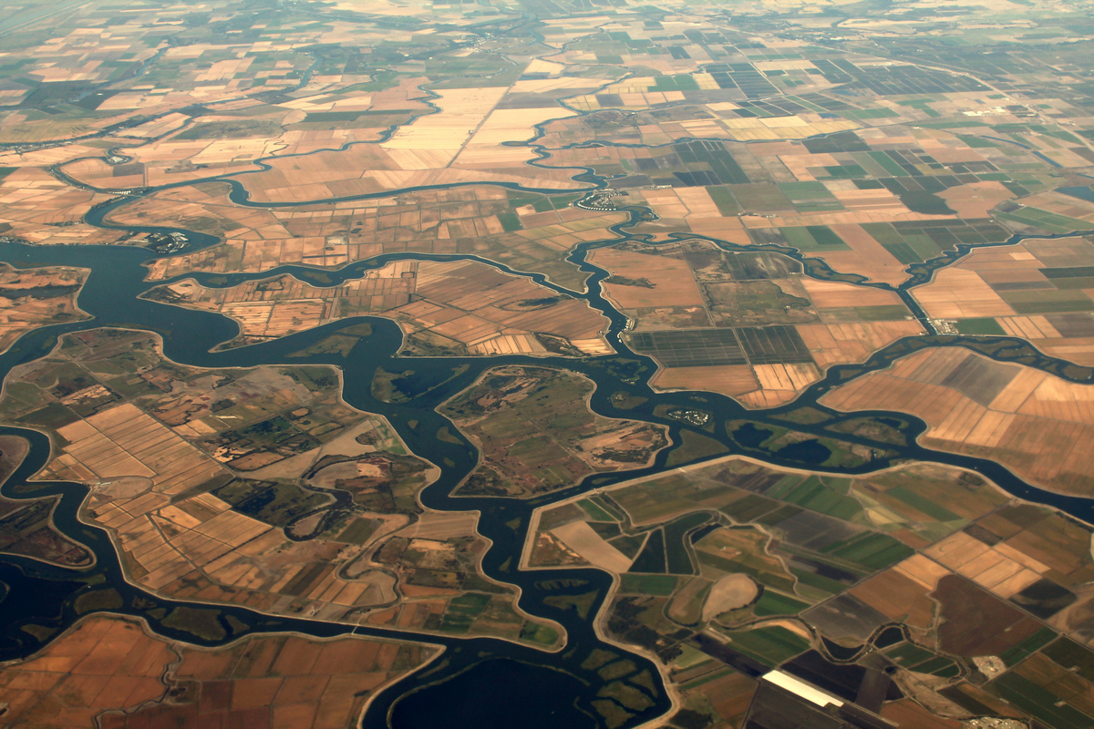 CA Delta